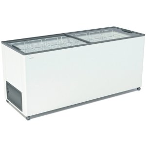 Ларь морозильный с прямым стеклом Frostor F 600 C серый